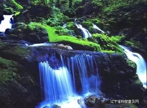 探秘昃读音是什么呢? - 发现无限乐趣